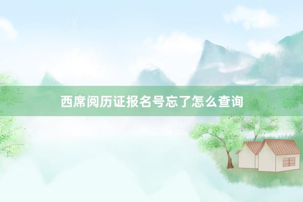 西席阅历证报名号忘了怎么查询