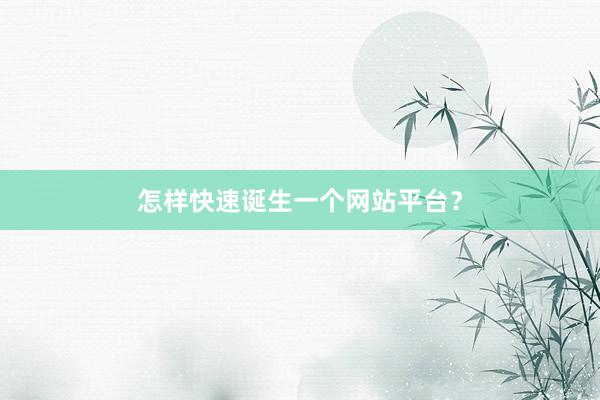 怎样快速诞生一个网站平台？