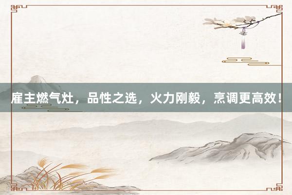 雇主燃气灶，品性之选，火力刚毅，烹调更高效！