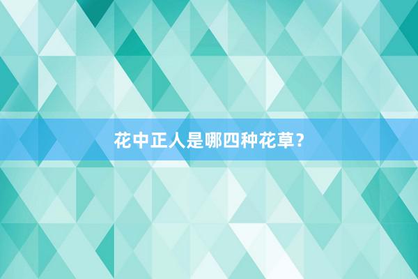 花中正人是哪四种花草？