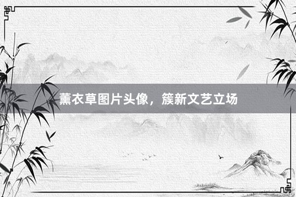 薰衣草图片头像，簇新文艺立场