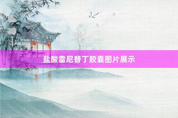盐酸雷尼替丁胶囊图片展示