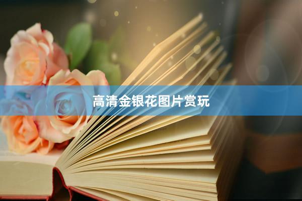 高清金银花图片赏玩
